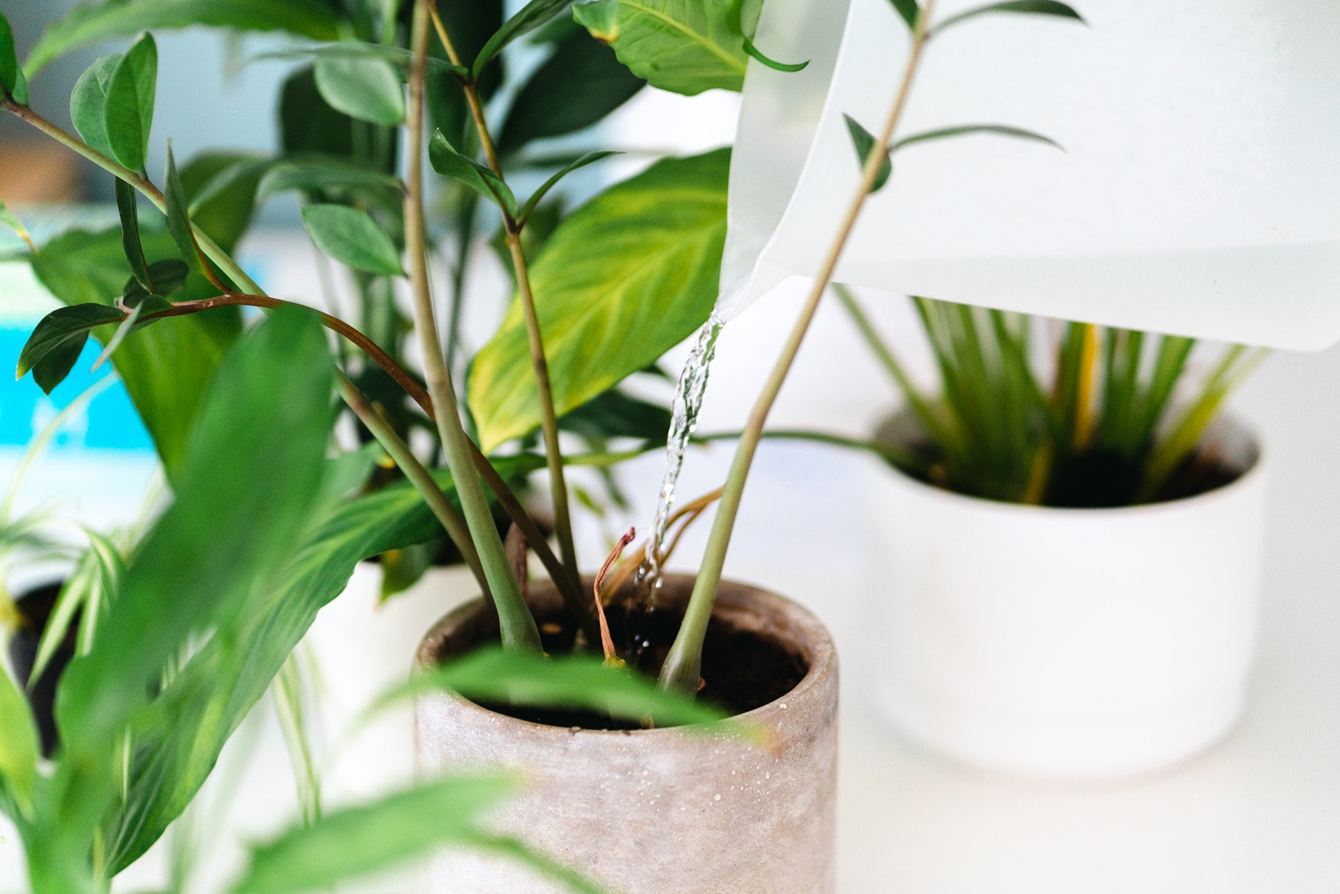 Aavabang-verkkosivut-1920-20220530-163