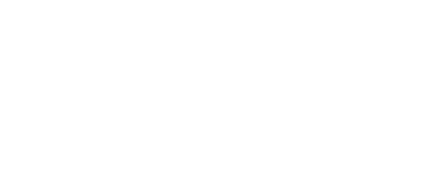 Lennu_logo_valk