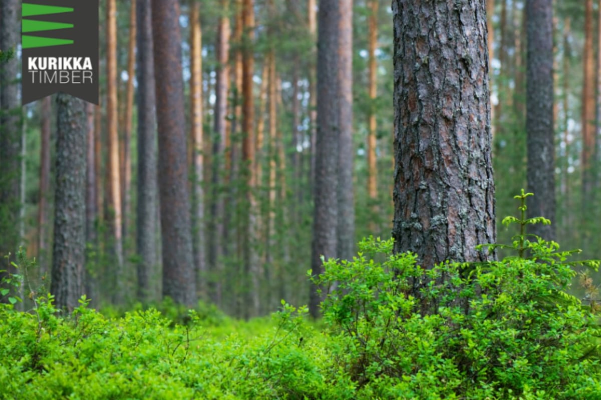 Kurikka Timber Oy