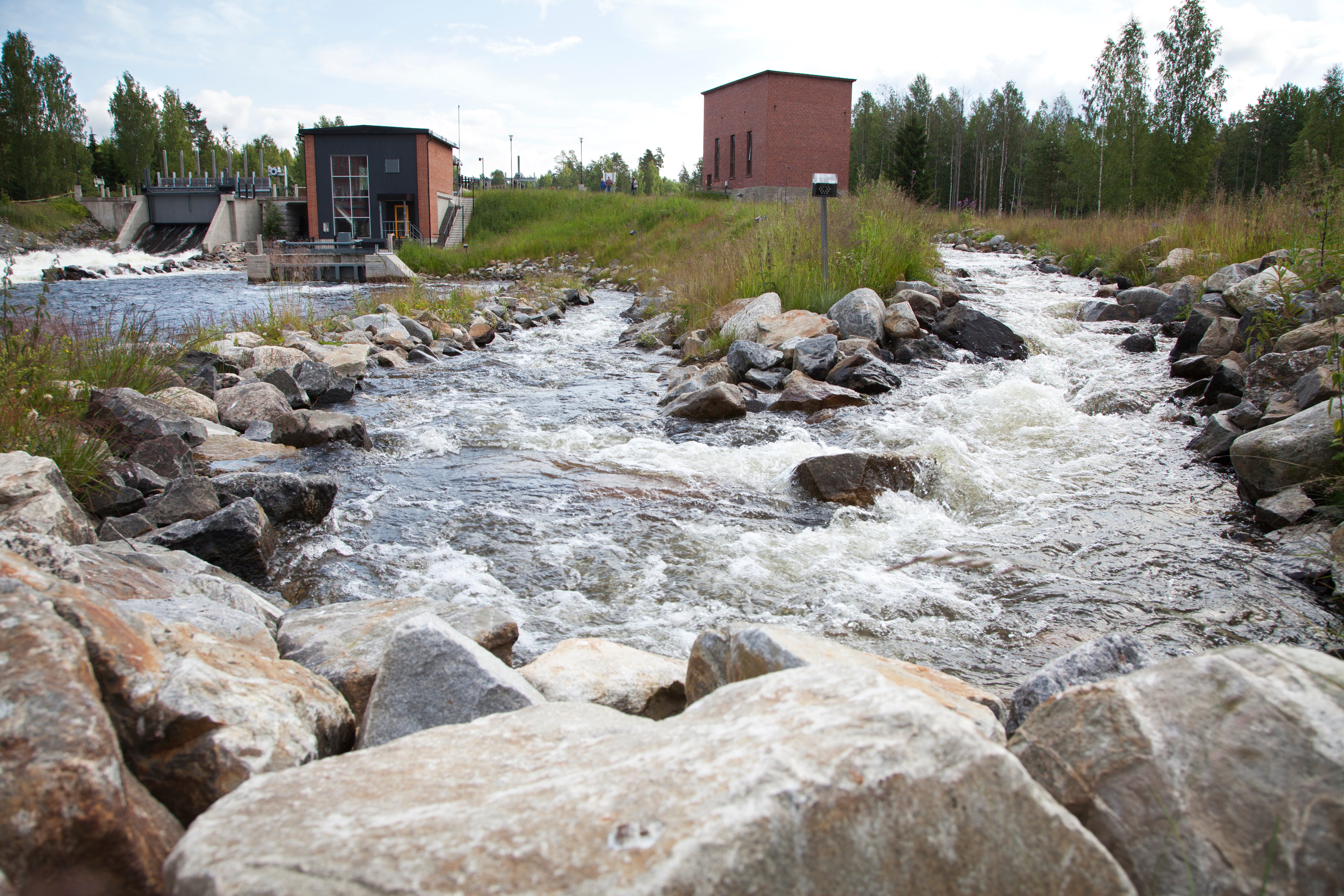 Suur-Savon Sähkö Oy – sisäisen viestinnän kehittäminen