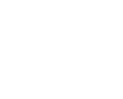 SuurSavonSahko_logo_valkoinen