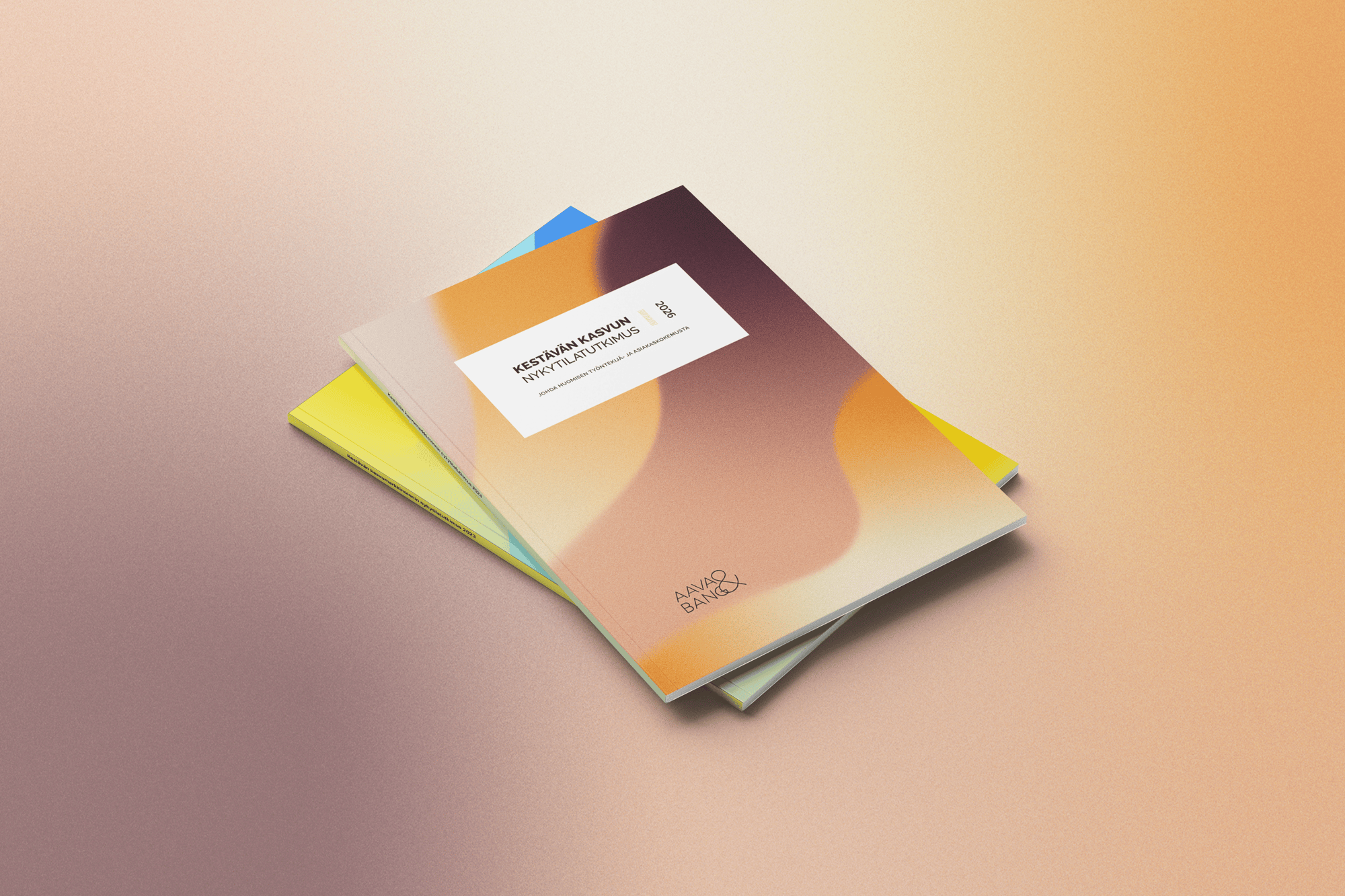 aava bang nykytilatutkimus mockup_01 (2)