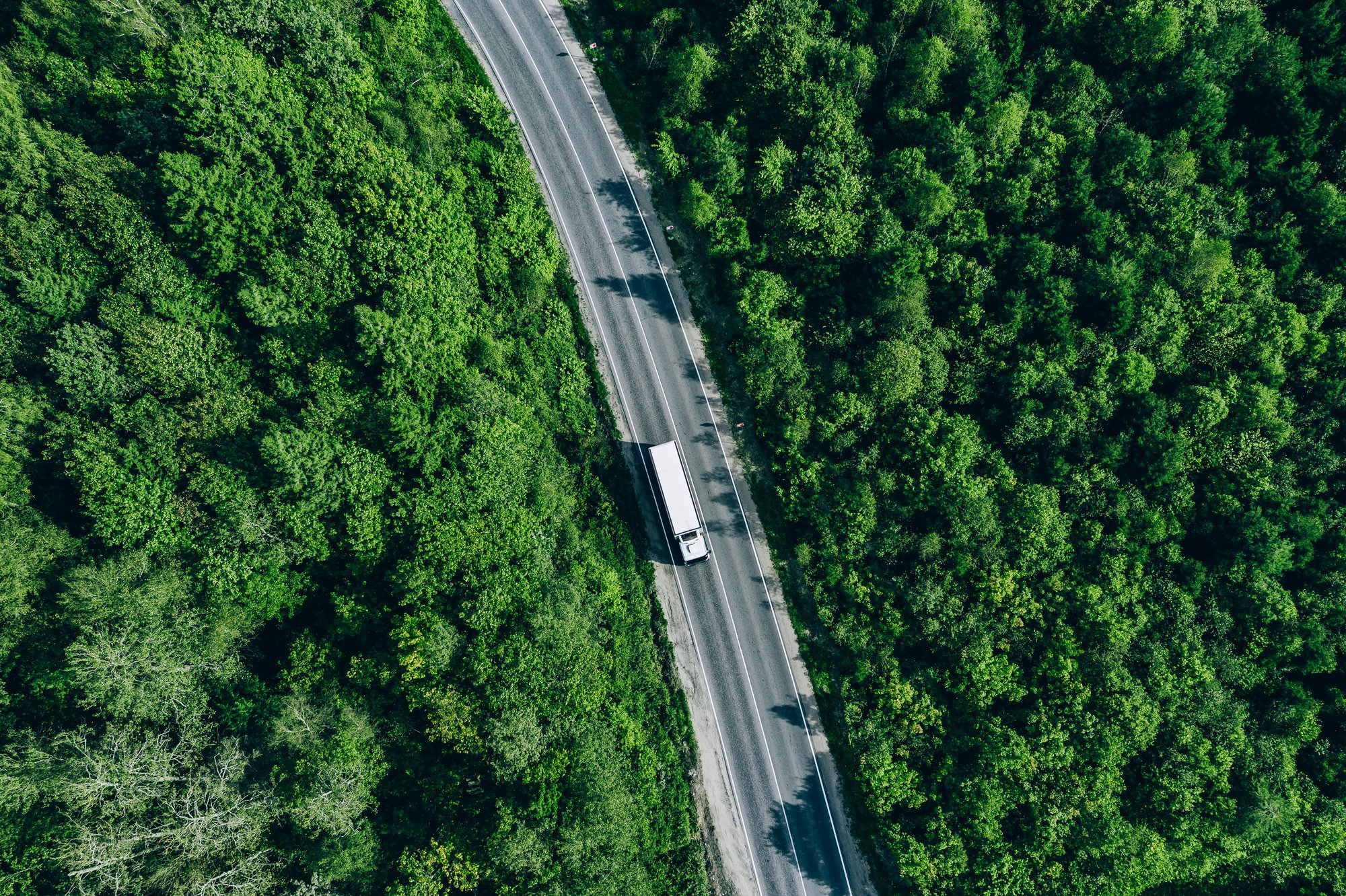 aerial-drone-view-of-truck-car-on-green-summer-cur-2024-09-30-21-19-11-utc