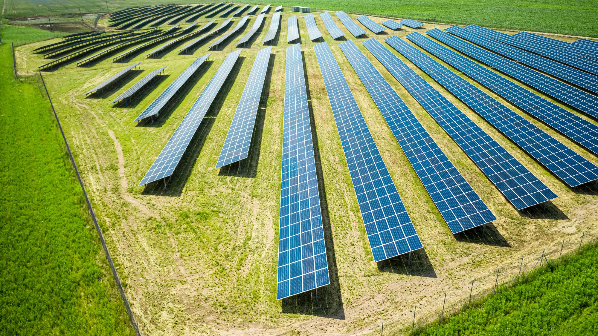stunning-view-of-solar-panels-on-green-field-in-su-2023-11-27-04-54-33-utc